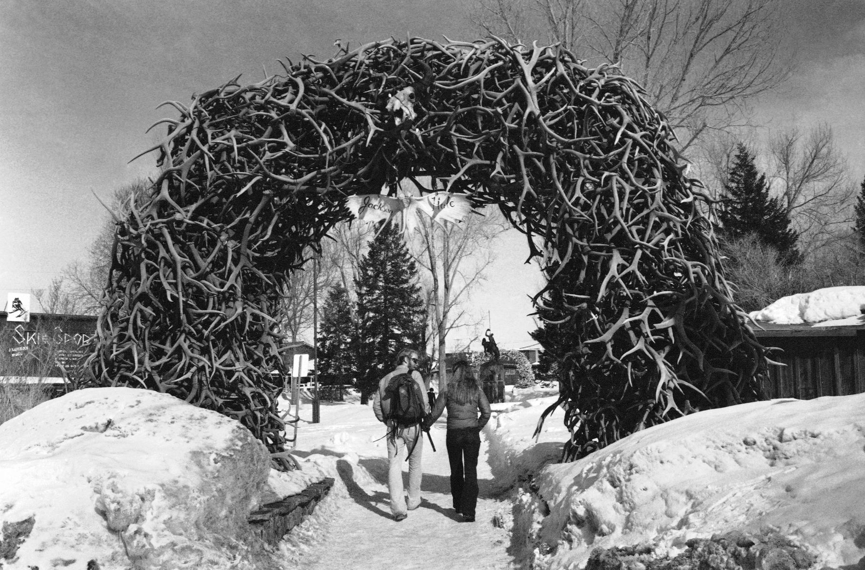 Your family Christmas card photo was taken under Jackson's antler arch
